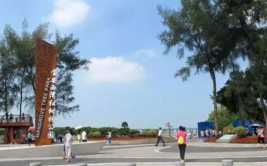 五一假期深圳公交地铁服务时间延长安排大全，绿色出行必看！公园观光服务指南