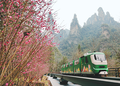 张家界国家森林公园 以暖心服务为笔，绘就温馨旅游新名片