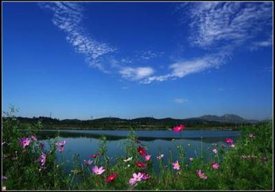 寻觅生态诗篇 天津武清永定河故道国家湿地公园观光指南