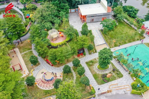 有园来相会丨河村公园 环境美设施齐，街坊爱来休闲的绿色乐园